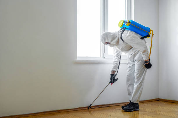 Best Commercial Pest Control  in Mesa, AZ